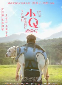 免费精品视频最新在线