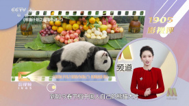 免费精品视频最新在线